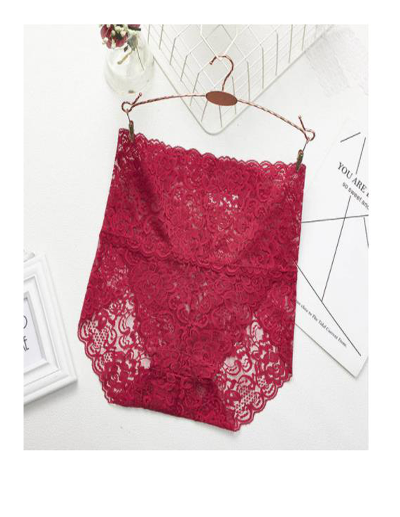 High Waist Lace Panties