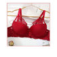 B/C Massage Cup Lace Bra